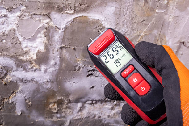 Best Black Mold Remediation in Eastpoint, FL