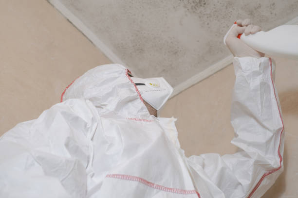 Best Bathroom Mold Remediation in Eastpoint, FL